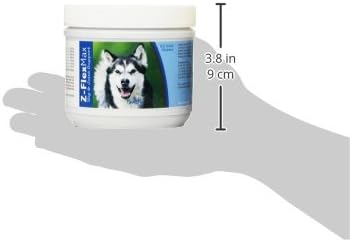 Alaskan Malamute