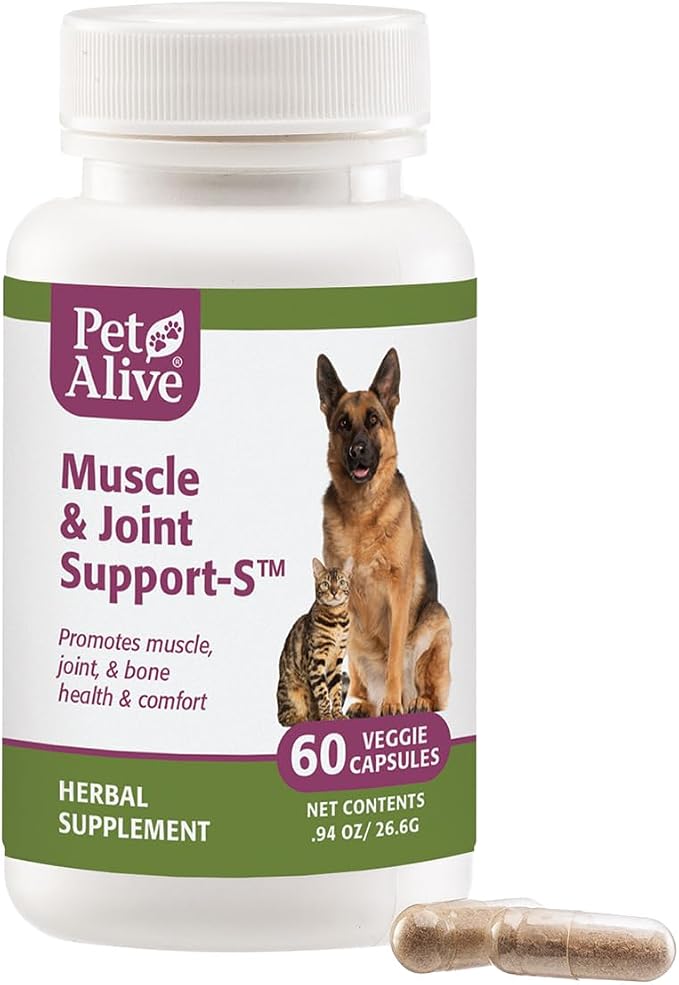 Muscle Joint Support-S 1Pk