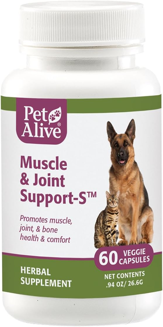Muscle Joint Support-S 1Pk