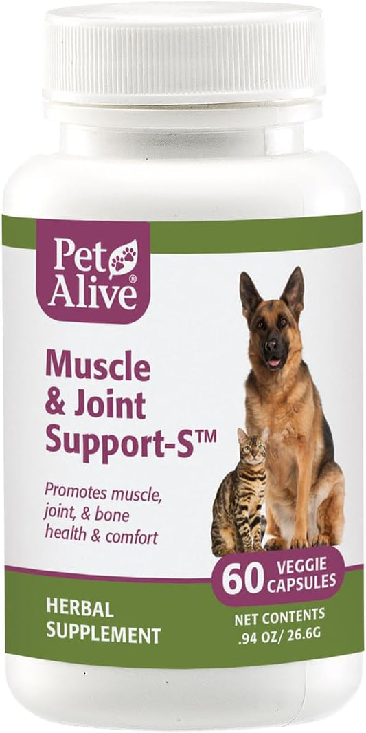 Muscle Joint Support-S 1Pk
