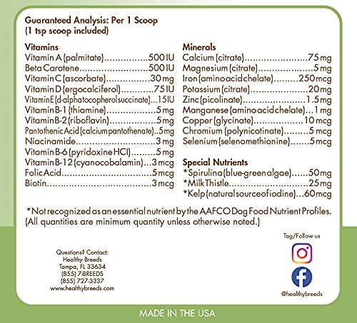 Goldendoodle, Brown