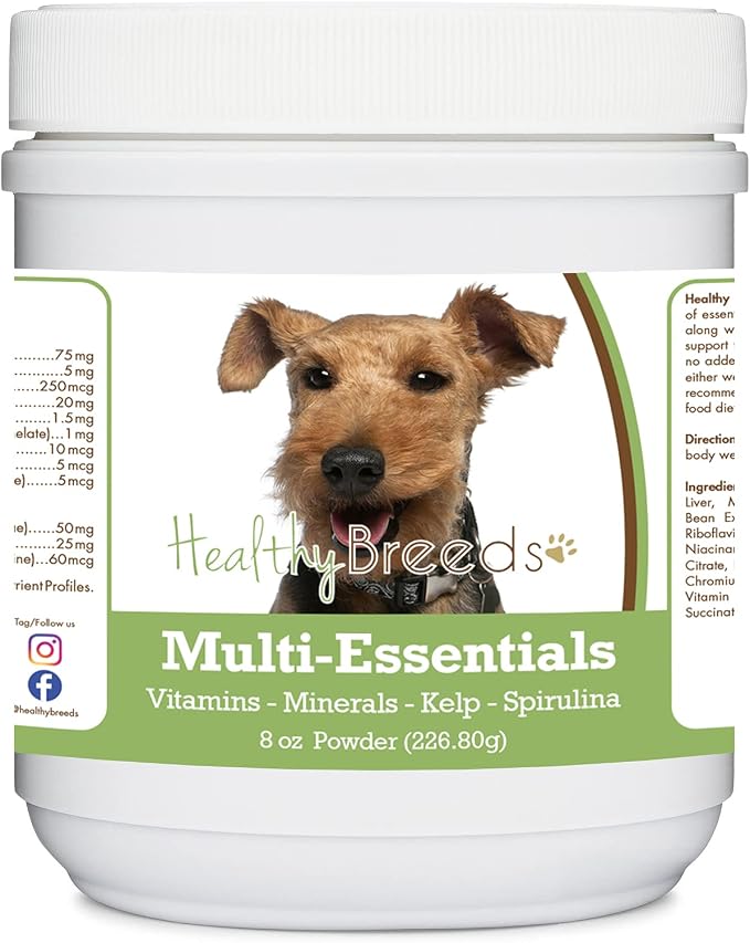 Welsh Terrier