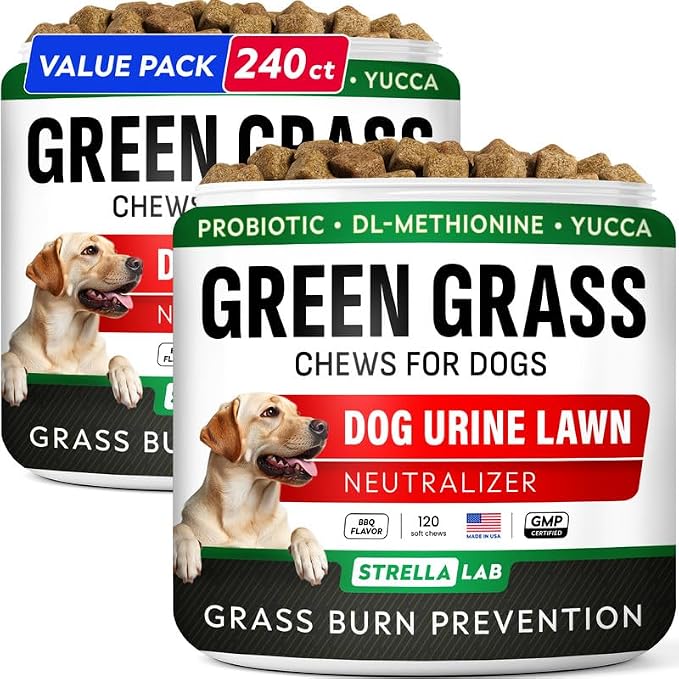 Green Grass