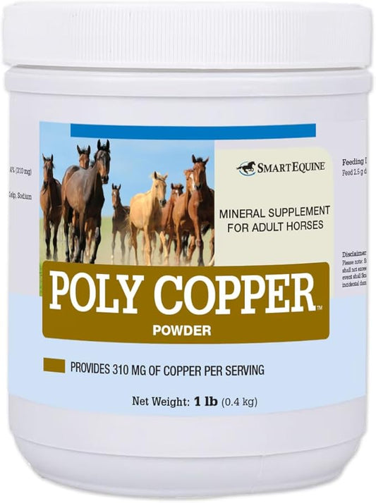 __DEFAULT__