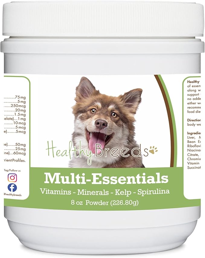 Finnish Lapphund