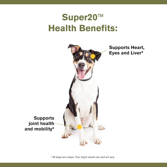 Powder