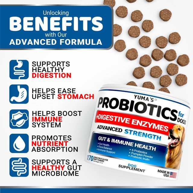 Probiotic Chews