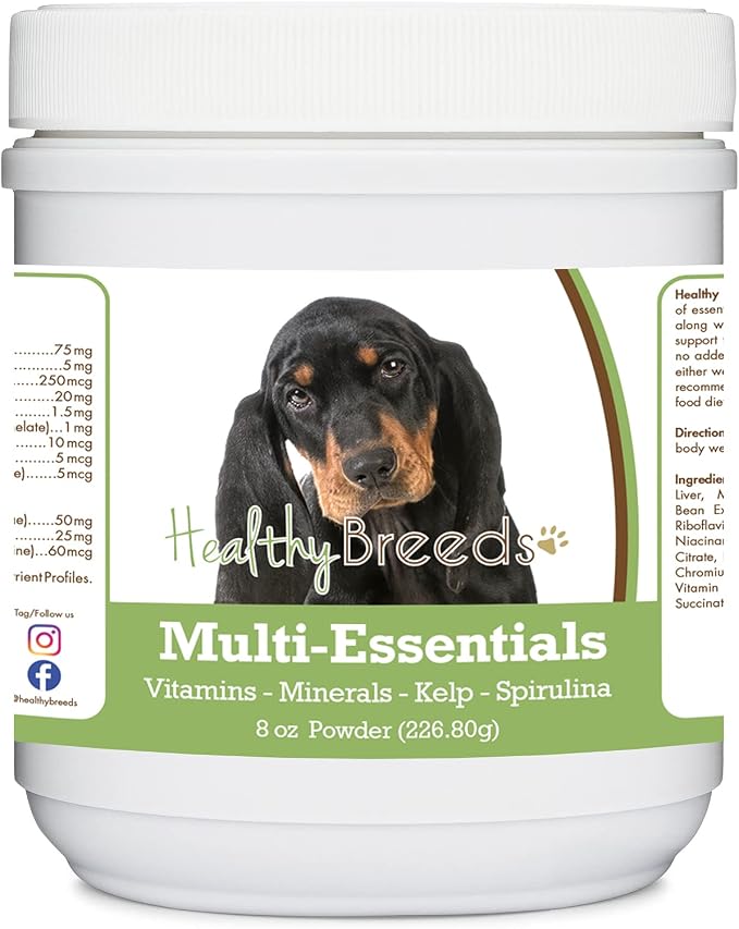 Black and Tan Coonhound