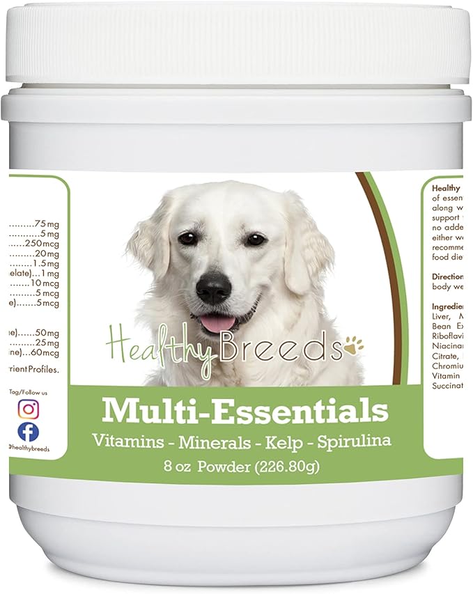 Kuvasz