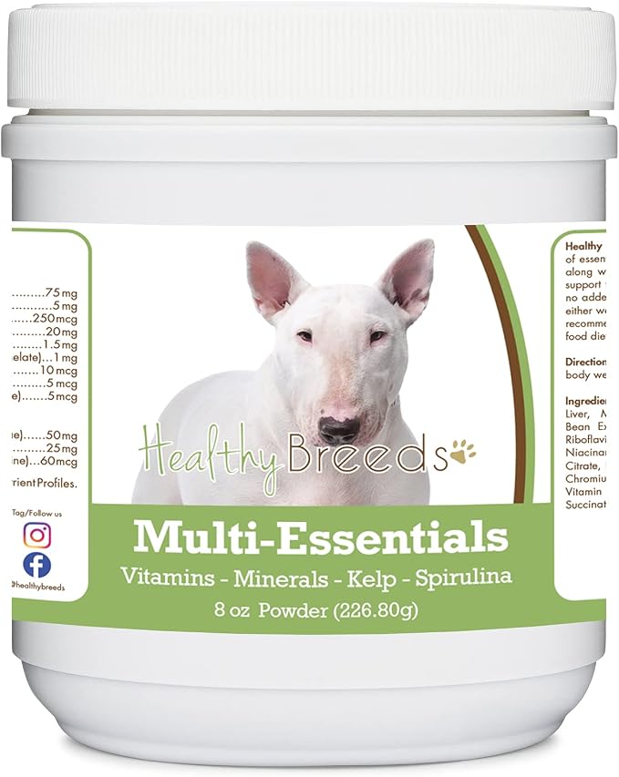 Bull Terrier