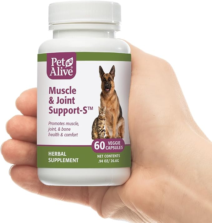 Muscle Joint Support-S 1Pk