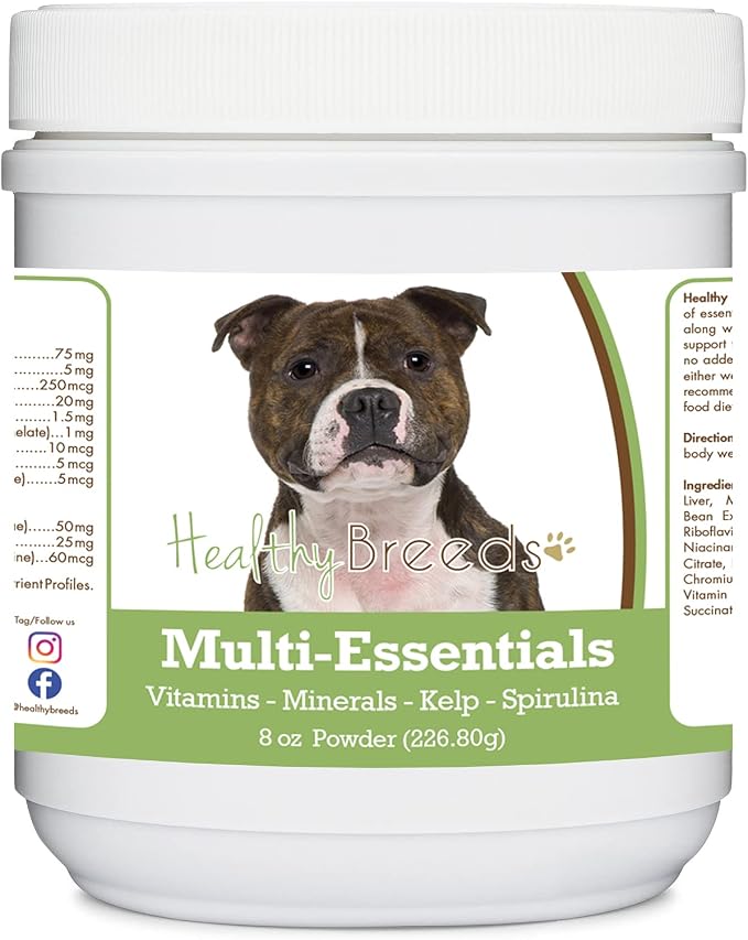 Staffordshire Bull Terrier