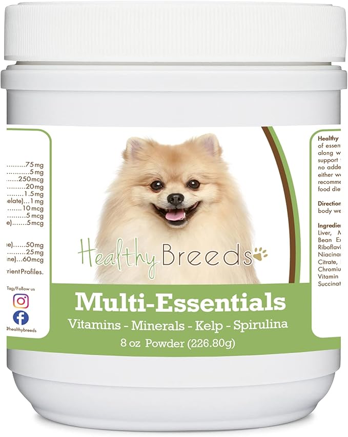 Pomeranian