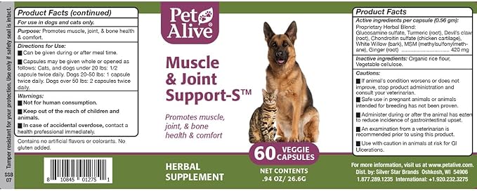 Muscle Joint Support-S 1Pk