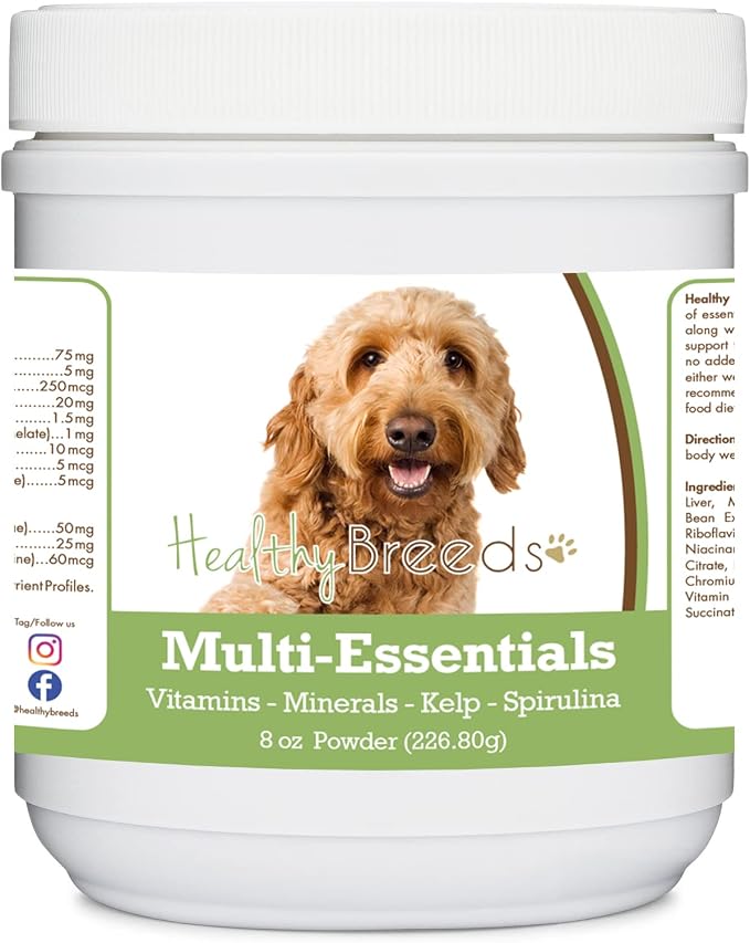 Goldendoodle, Brown