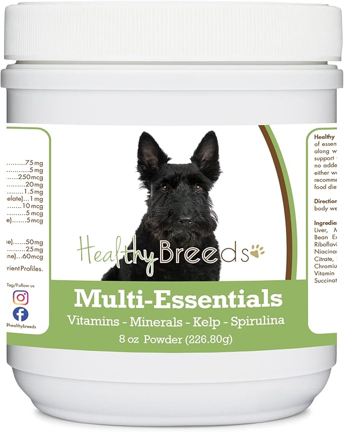 Scottish Terrier