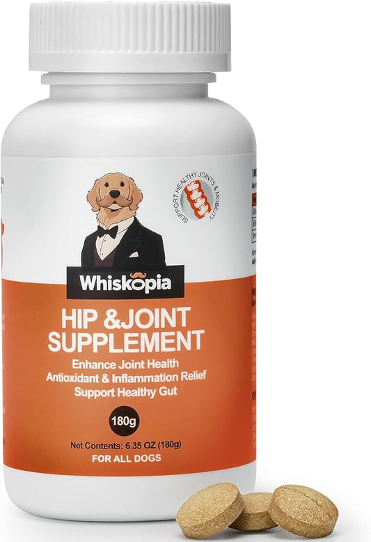 Hip & Joint