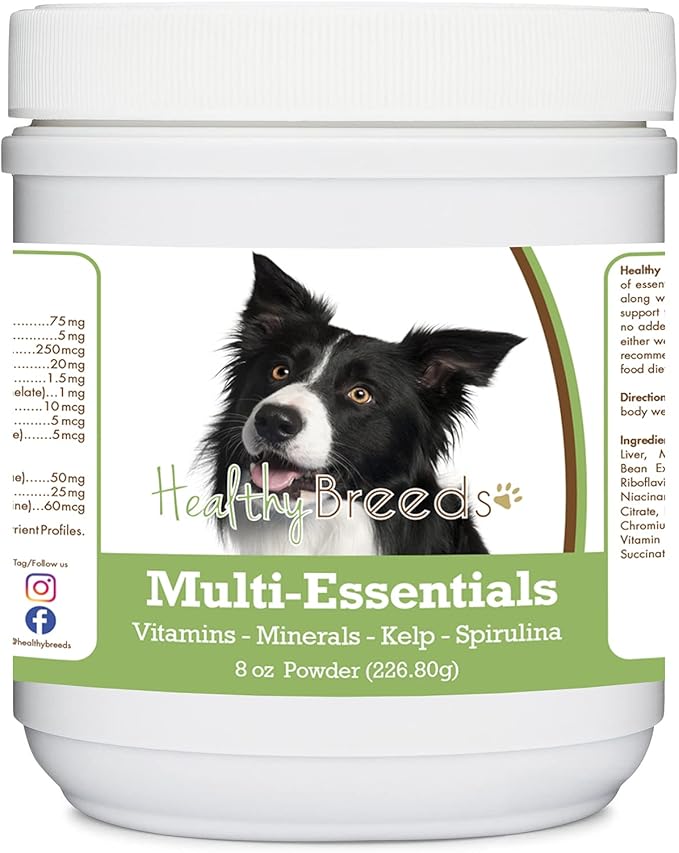 Border Collie