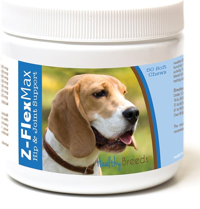 Beagle