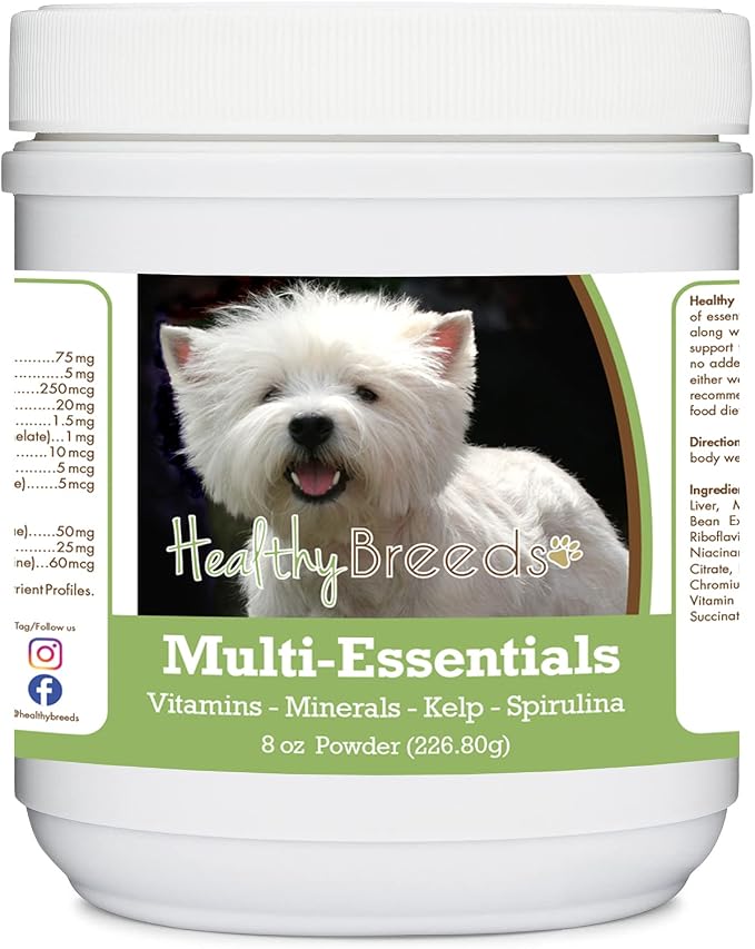 West Highland White Terrier