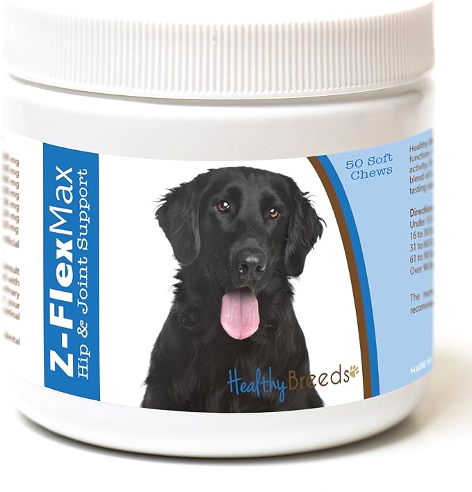 Flat Coated Retriever