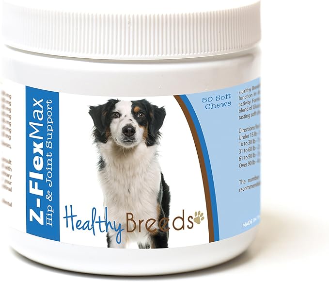 Miniature American Shepherd