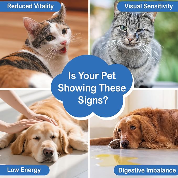 Taurine for Dogs & Cats