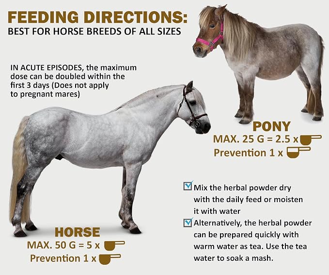 LAMINITIS Ease