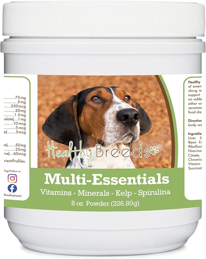Treeing Walker Coonhound
