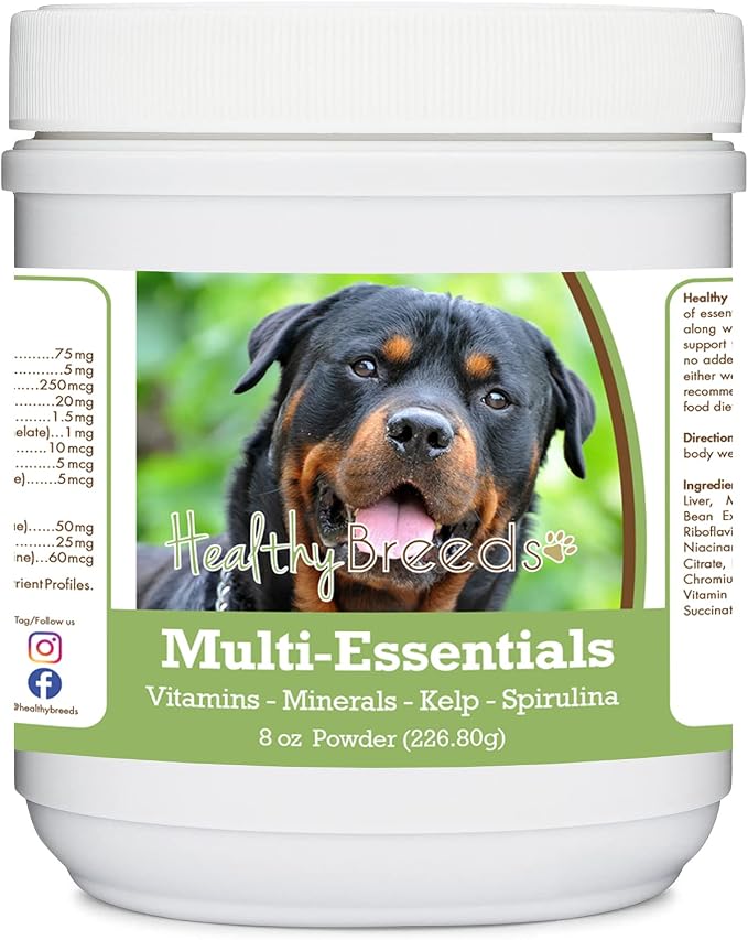 Rottweiler