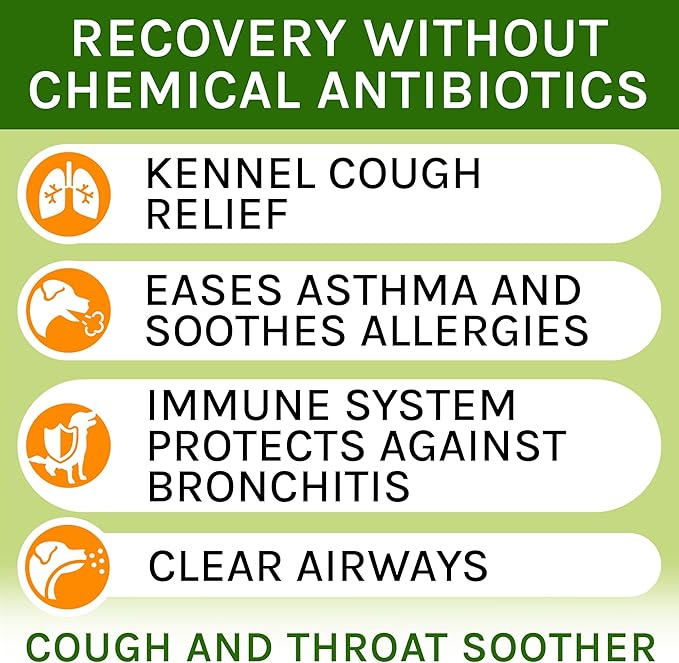 Kennel Cough