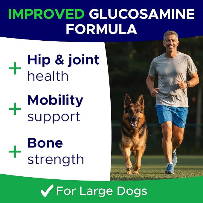 Hip & Joint