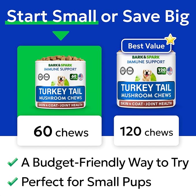 Turkey Tail Mushroom + Glucosamine