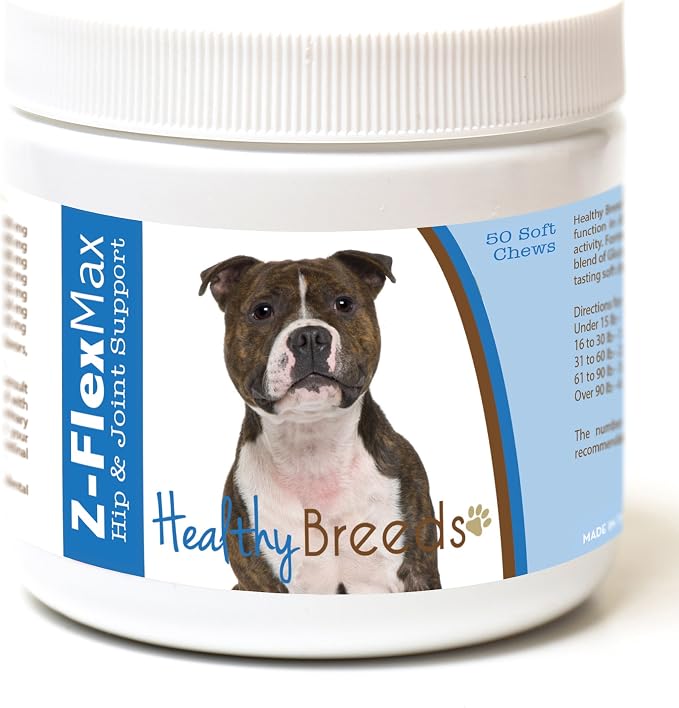 Staffordshire Bull Terrier
