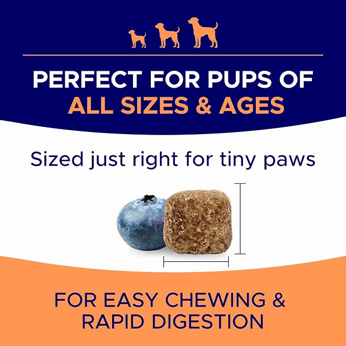 Allergy Chews