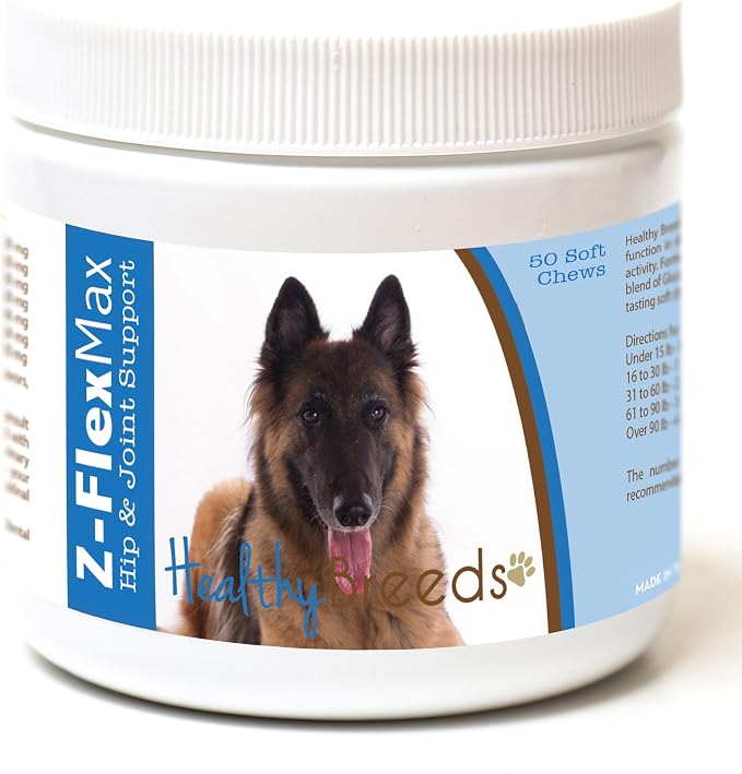 Belgian Tervuren
