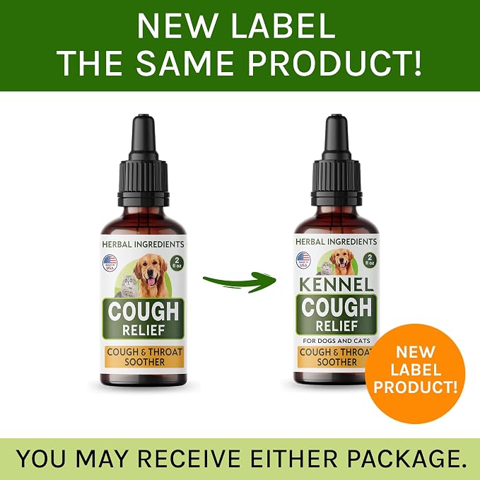 Kennel Cough
