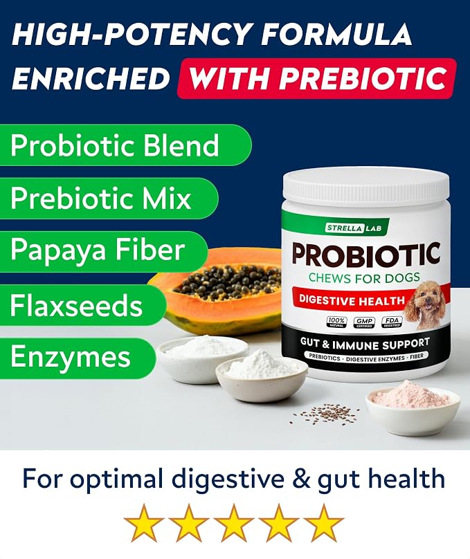 Probiotic Chews