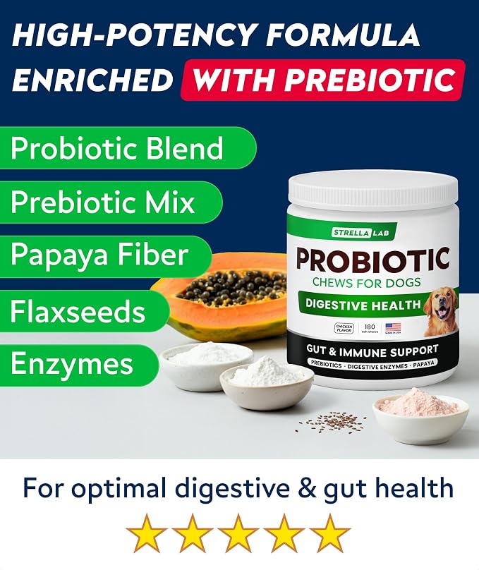 Probiotic Chews
