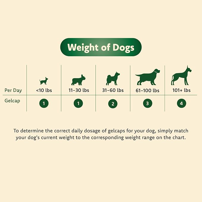 Medium to Large Dogs (11+ lbs)