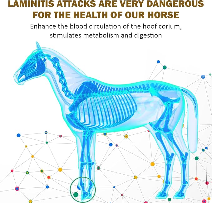 LAMINITIS Ease