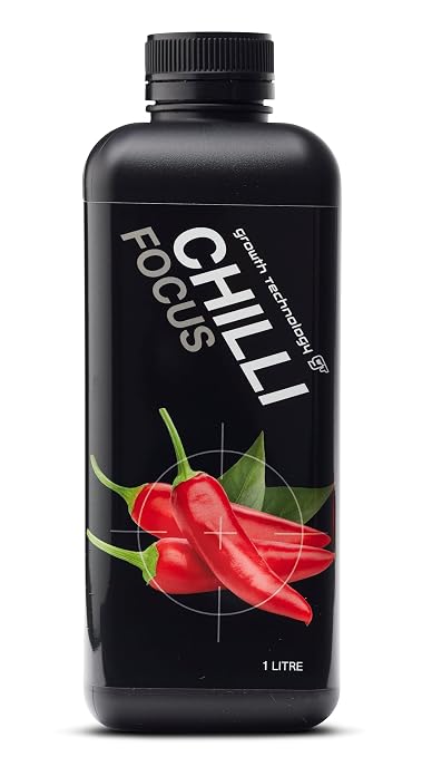 Chili