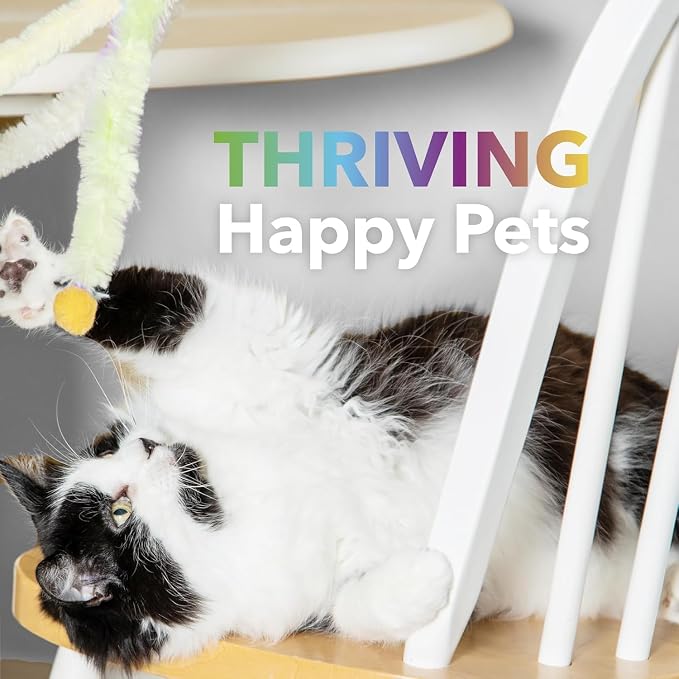 __DEFAULT__