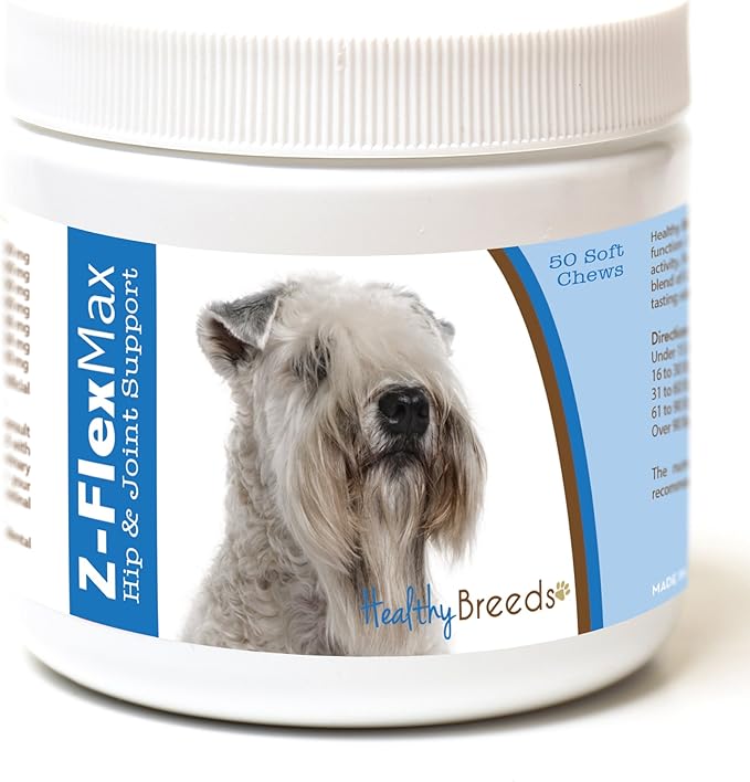 Soft Coated Wheaten Terrier
