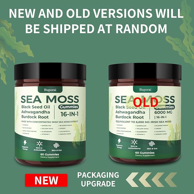 Pack of 1