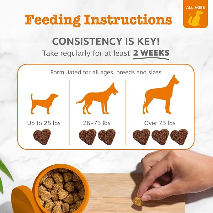 Beef