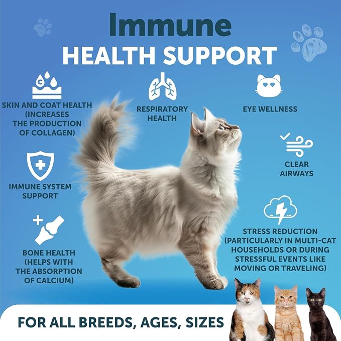 Lysine for Cats