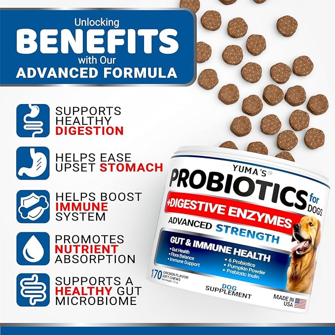 Probiotic Chews