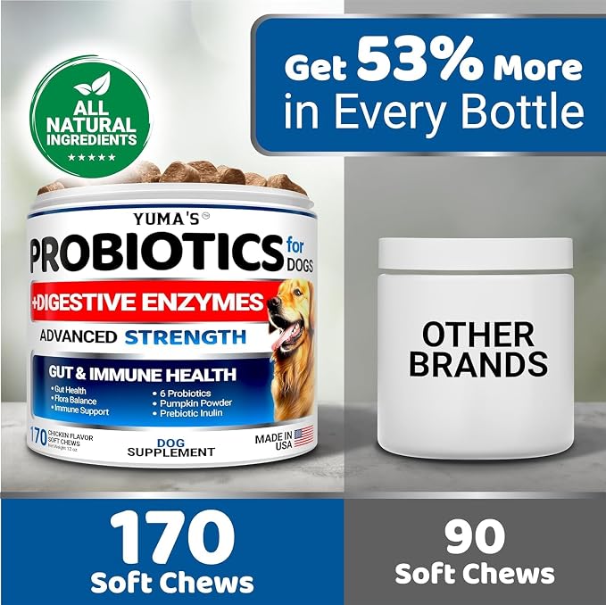 Probiotic Chews