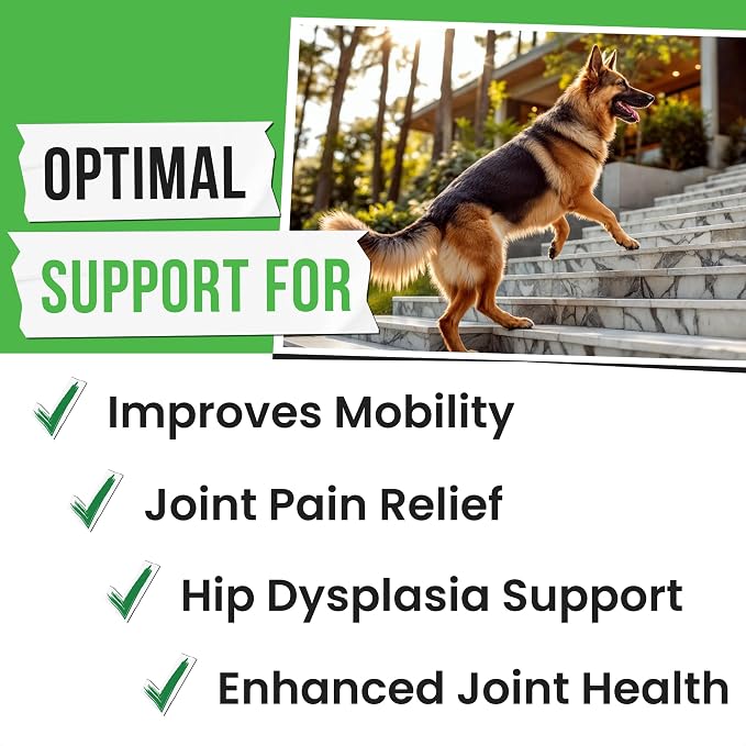 Hip&Joint